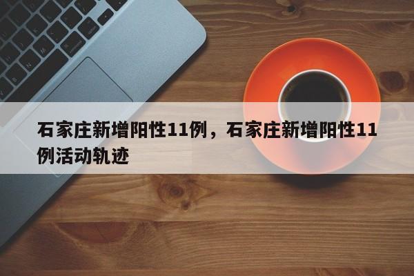 石家庄新增阳性11例，石家庄新增阳性11例活动轨迹