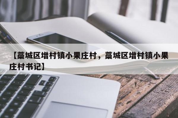 【藁城区增村镇小果庄村，藁城区增村镇小果庄村书记】