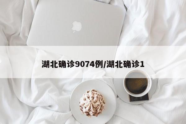 湖北确诊9074例/湖北确诊1
